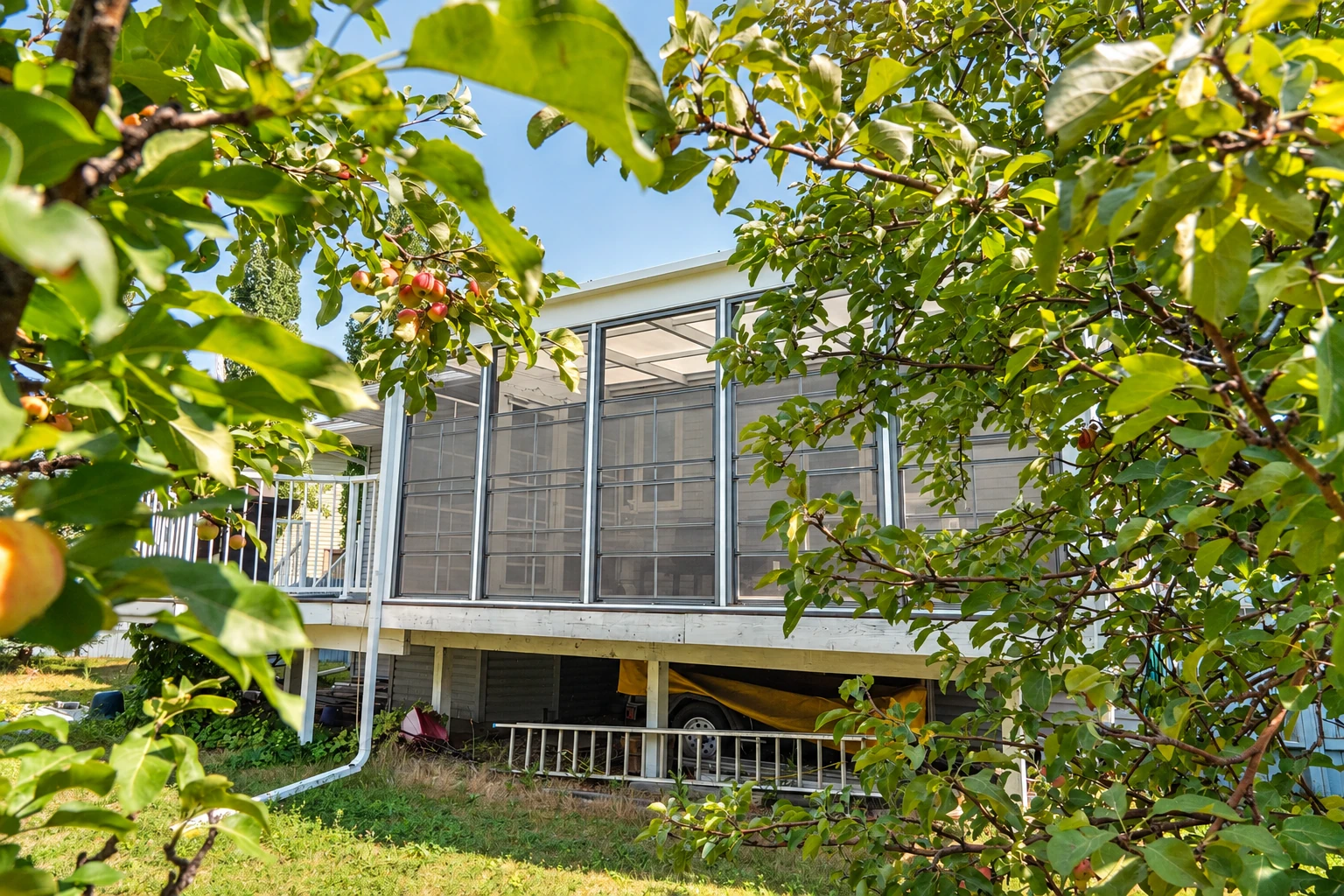 Three-season sunroom with screened panels raised on a deck, seen through leafy branches bearing small fruit.